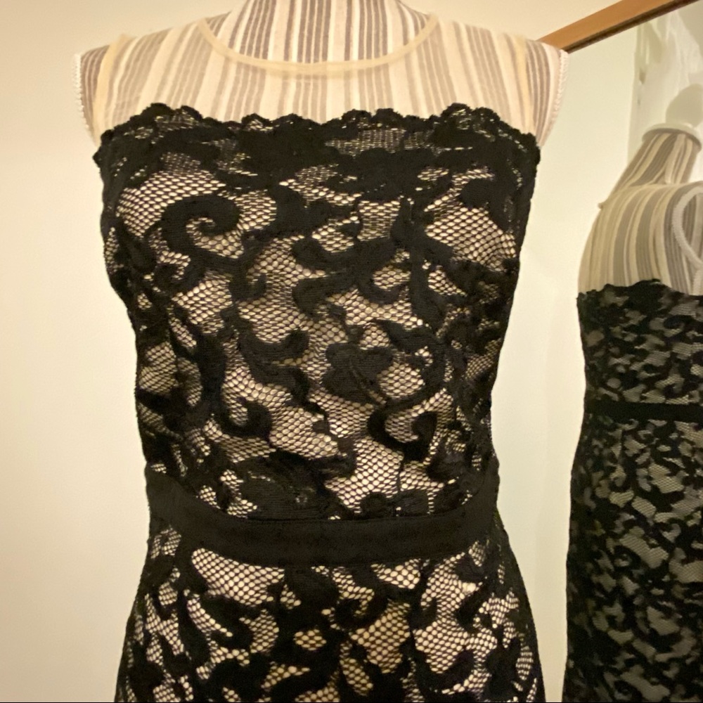 Bebe cream mesh form fitting dress